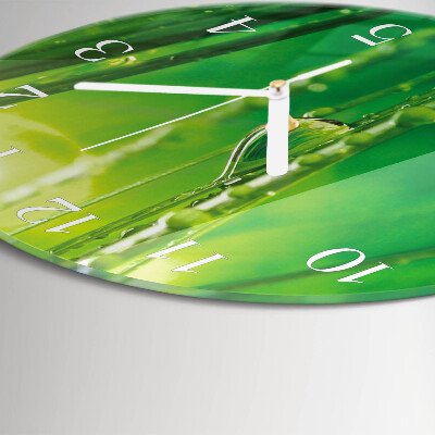 Round wall clock Drops of Grass