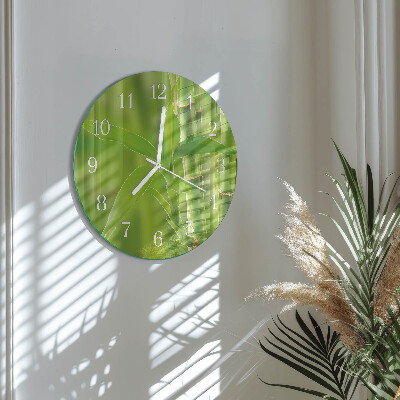 Round wall clock Bamboo Plant