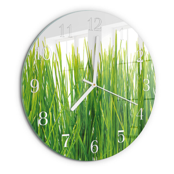 Round wall clock Grass