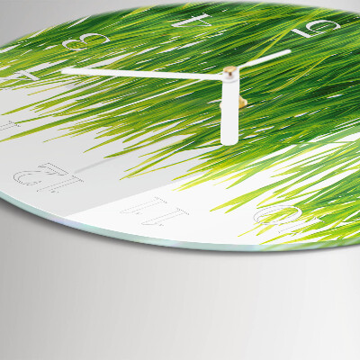 Round wall clock Grass