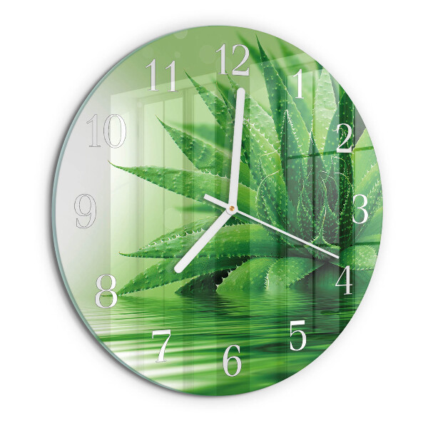 Round wall clock Aloe