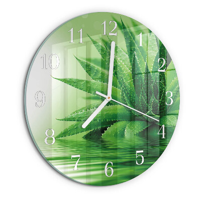 Round wall clock Aloe