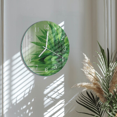 Round wall clock Aloe