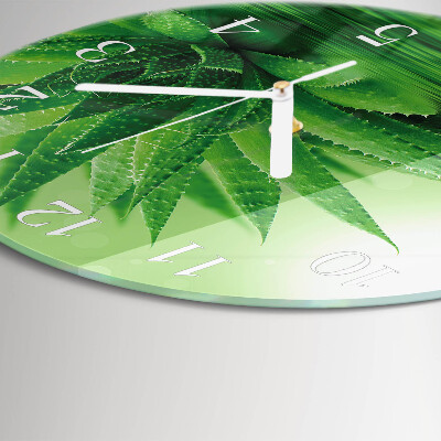 Round wall clock Aloe