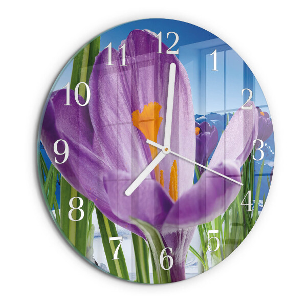 Round wall clock Spring