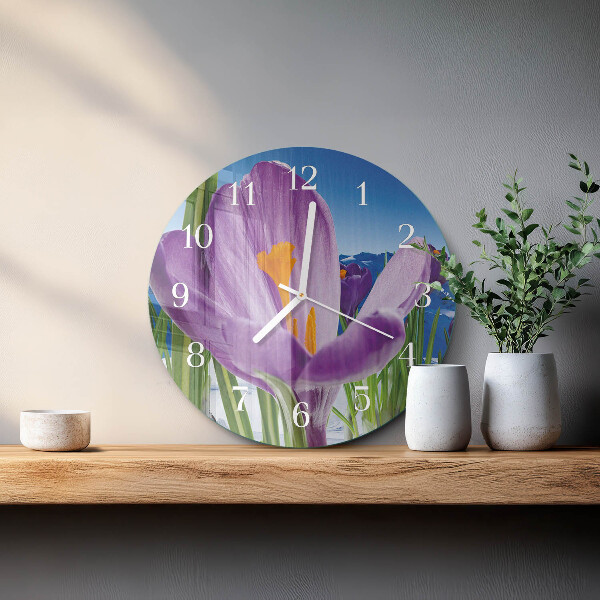 Round wall clock Spring