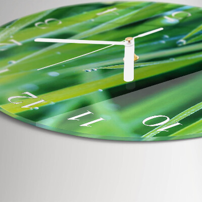 Round wall clock Grass