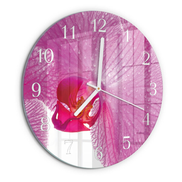 Round wall clock Orchid