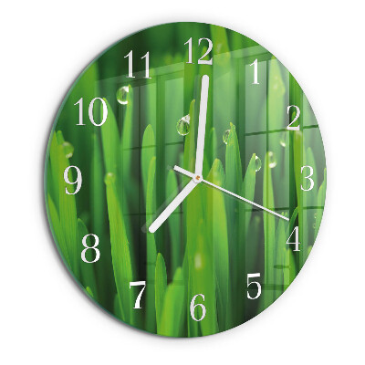 Round wall clock Grass
