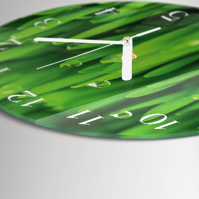 Round wall clock Grass