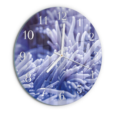 Round wall clock Anemone