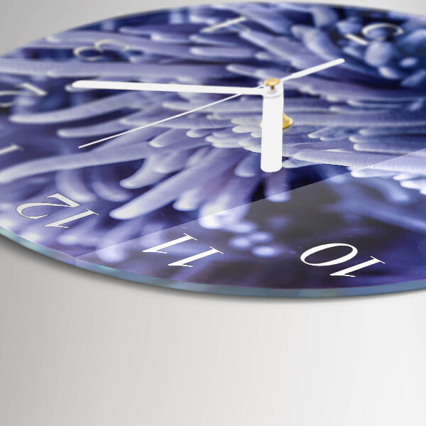 Round wall clock Anemone