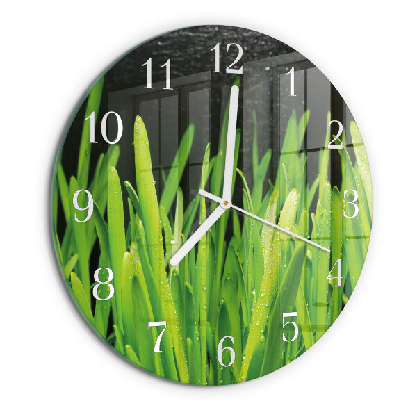 Round wall clock Grass