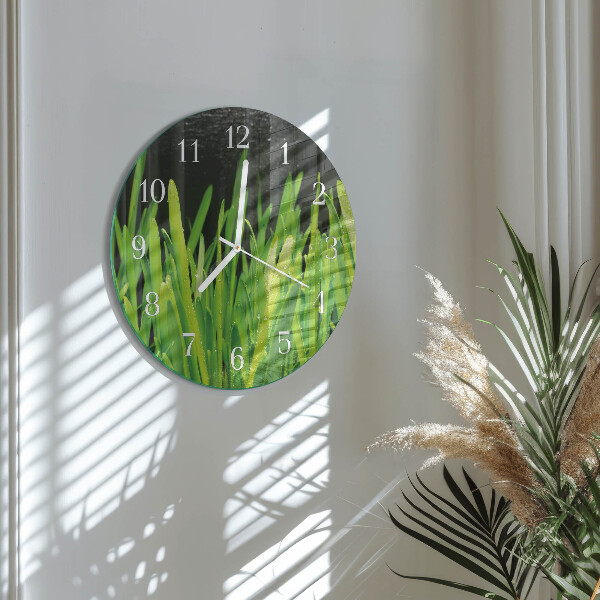 Round wall clock Grass