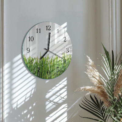 Round wall clock Grass
