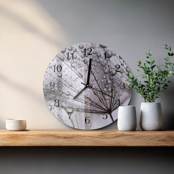 Round wall clock Dandelion