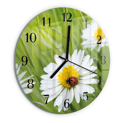 Round wall clock Daisies