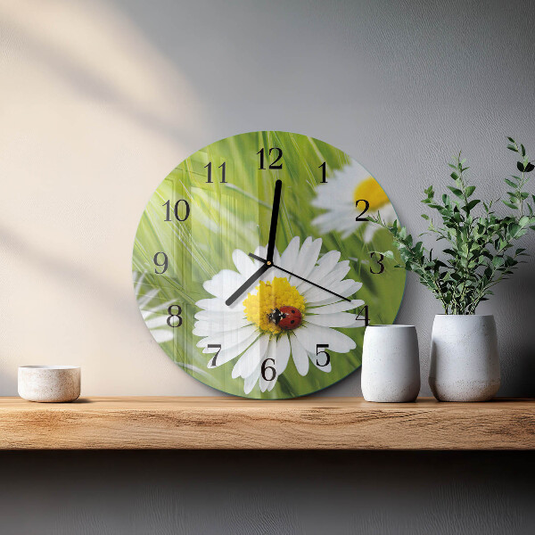 Round wall clock Daisies