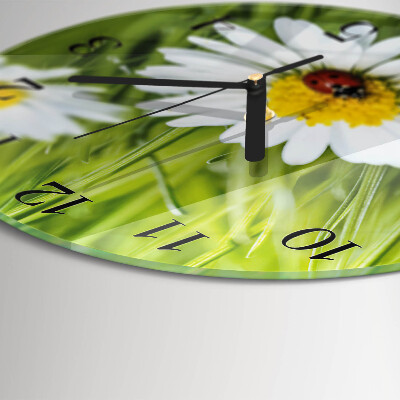 Round wall clock Daisies