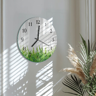 Round wall clock Grass