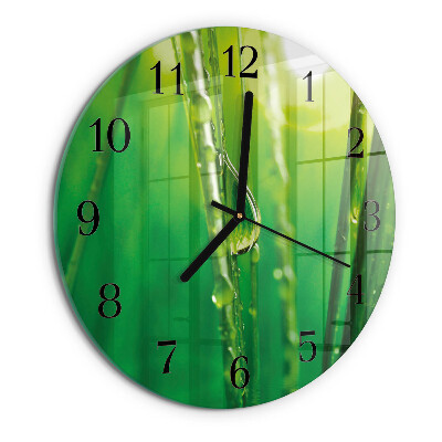 Round wall clock Drops of Grass