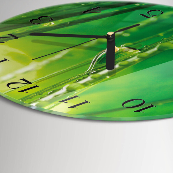 Round wall clock Drops of Grass