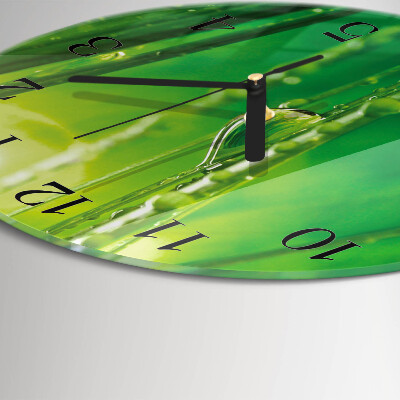 Round wall clock Drops of Grass