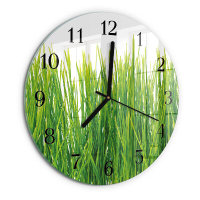 Round wall clock Grass