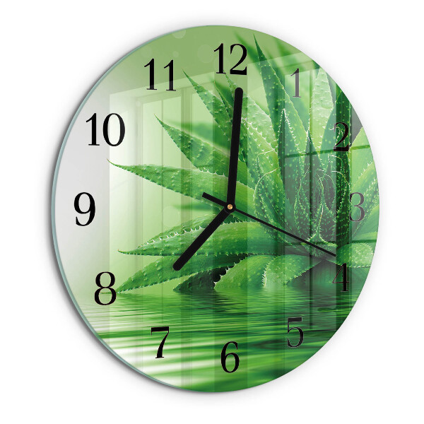 Round wall clock Aloe
