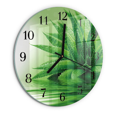 Round wall clock Aloe