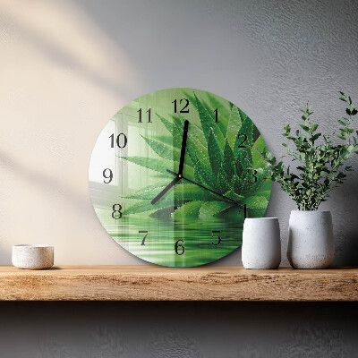 Round wall clock Aloe