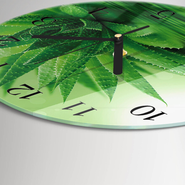 Round wall clock Aloe