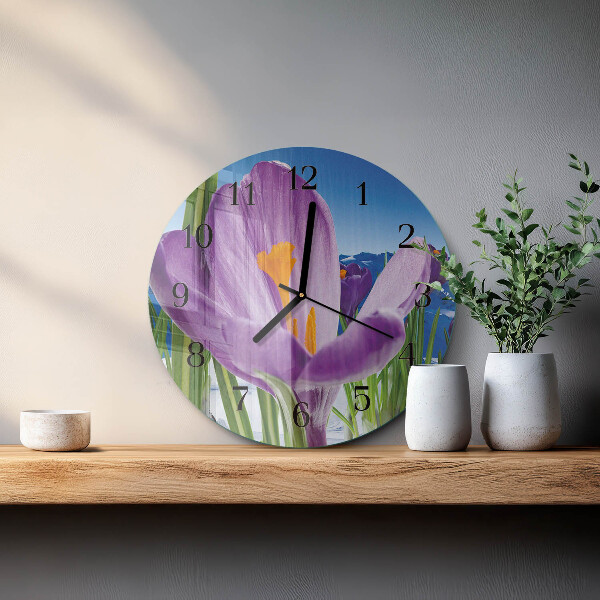 Round wall clock Spring