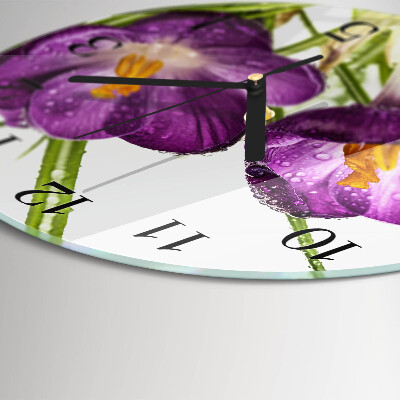 Round wall clock Crocuses