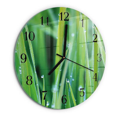 Round wall clock Grass