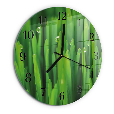 Round wall clock Grass