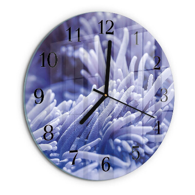 Round wall clock Anemone