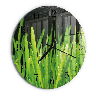 Round wall clock Grass