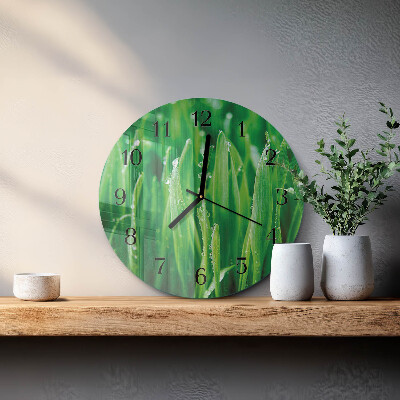 Round wall clock Green grass