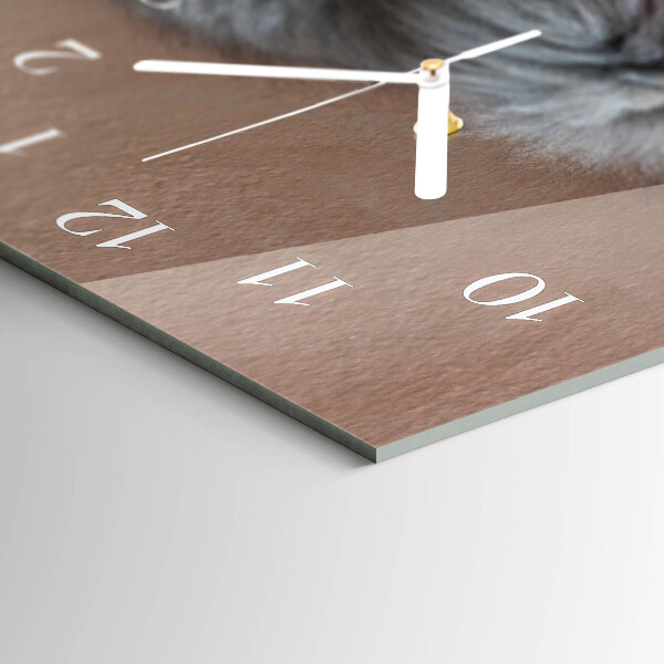Horizontal wall clock Persian cat