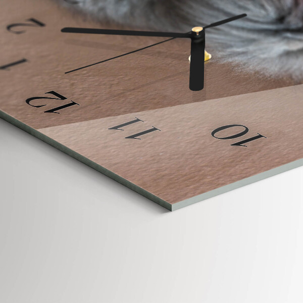Horizontal wall clock Persian cat