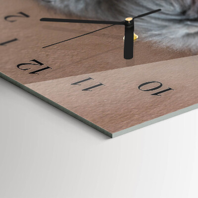 Horizontal wall clock Persian cat