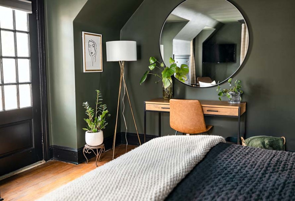 the best air-purifying plants