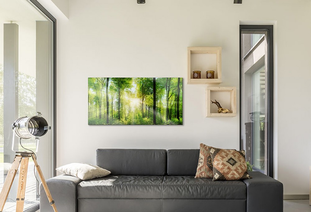 Cozy and funcional living room ideas