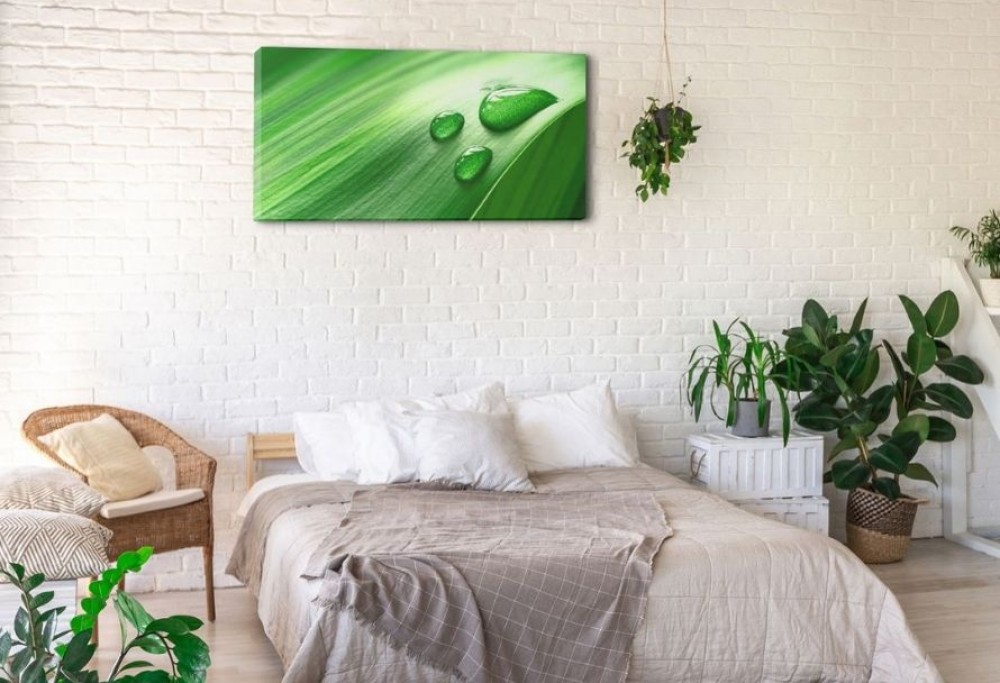 rented apartment decorations