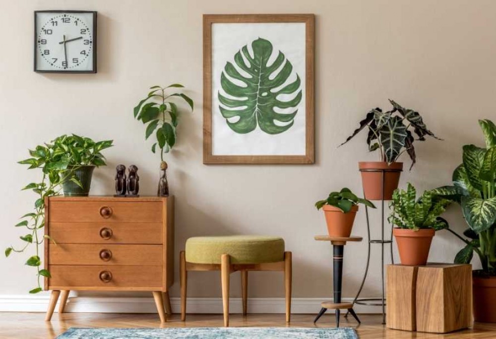 the best air-purifying plants