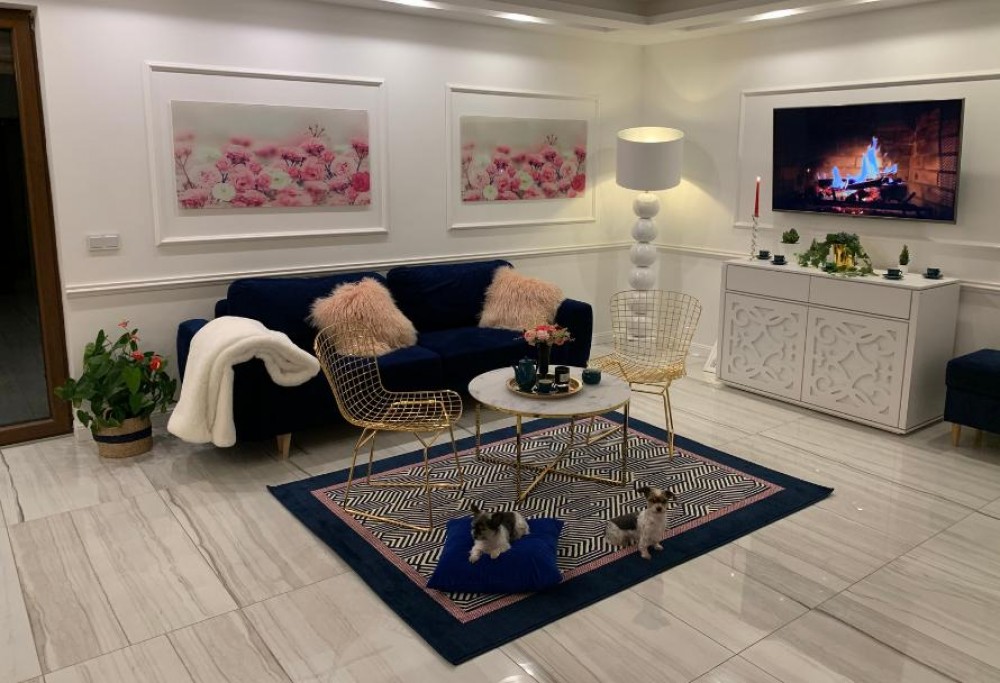 fashionable living room 2023