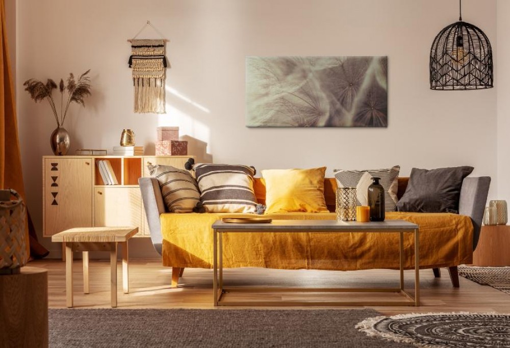fashionable living room 2023