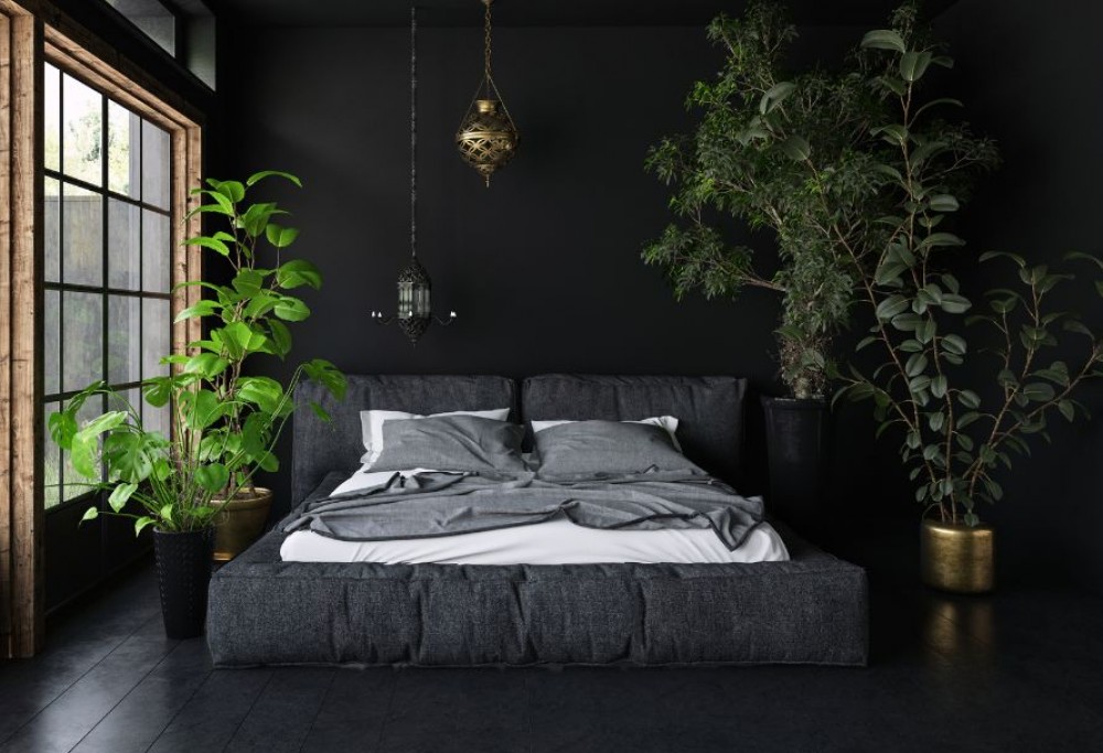 the colour black in the arrangement